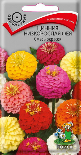 Цинния низкорослая Фея Смесь окрасок
