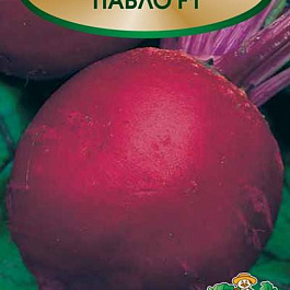 Свёкла столовая Пабло F1