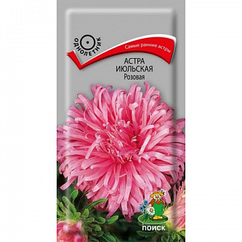 Астра июльская Розовая