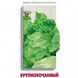 Салат Крупнокочанный