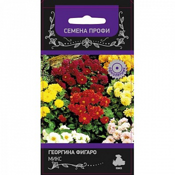 Георгина Фигаро Микс