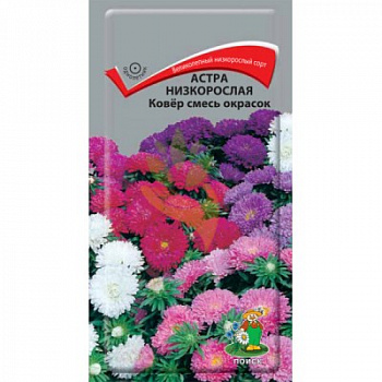 Астра низкорослая Ковер смесь окрасок