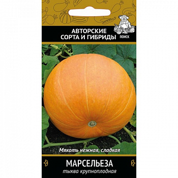 Тыква крупноплодная Марсельеза