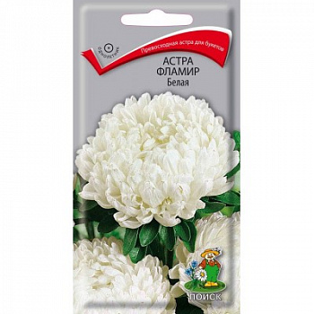 Астра Фламир Белая Астра Фламир Белая