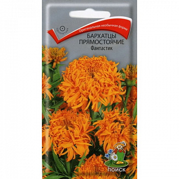 Бархатцы прямостоячие Фантастик Бархатцы прямостоячие Фантастик