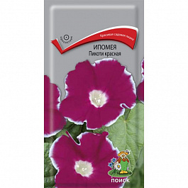 Ипомея Пикоти красная