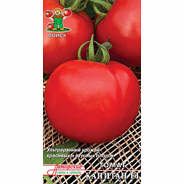 Томат Капитан F1