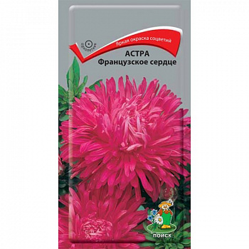Астра Французское сердце