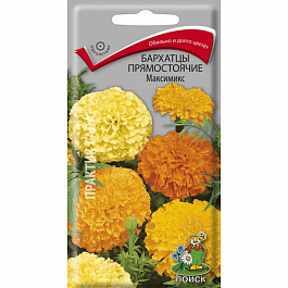 Бархатцы прямостоячие Максимикс