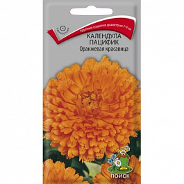 Календула пацифик Оранжевая красавица