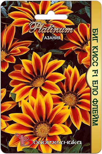 Газания (Гацания) Big Kiss F1 Yellow Flame