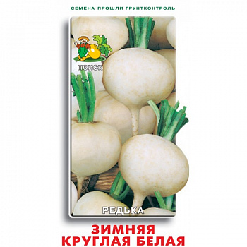 Редька Зимняя круглая белая