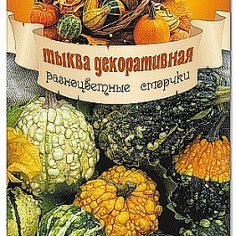 Тыква Декоративная Разноцветные сморчки
