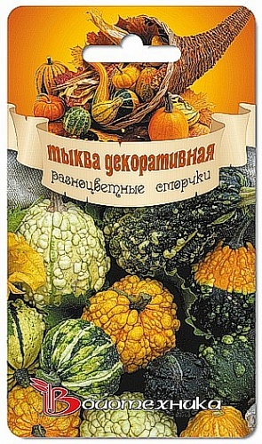 Тыква Декоративная Разноцветные сморчки