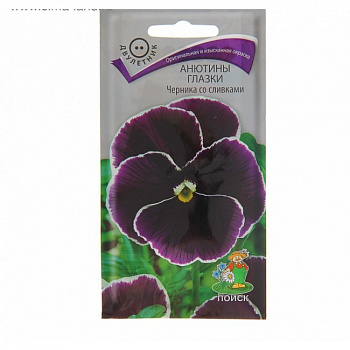 Анютины глазки Черника со сливками