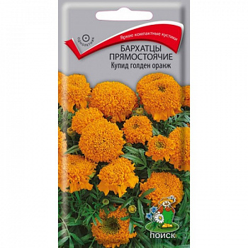 Бархатцы прямостоячие Купид голден оранж