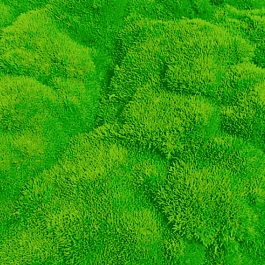 Дивала двухцветковая Selected Bronze