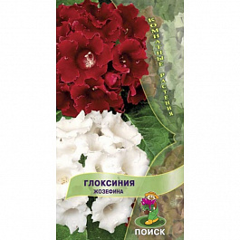 Глоксиния Жозефина