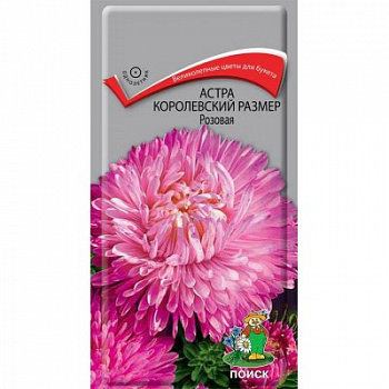 Астра королевский размер Розовая