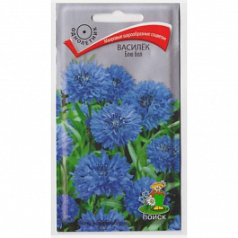 Василёк Блю бол