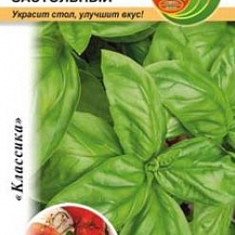 Базилик  Застольный