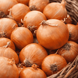 Лук-севок Турбо