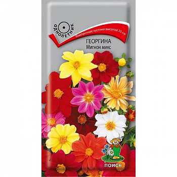 Георгина Мигнон микс