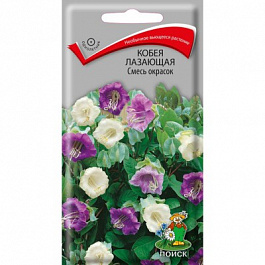 Кобея лазающая Смесь окрасок