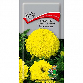 Бархатцы прямостоячие Спун лимонные