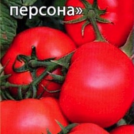 Томат (Помидор) обыкновенный Важная персона