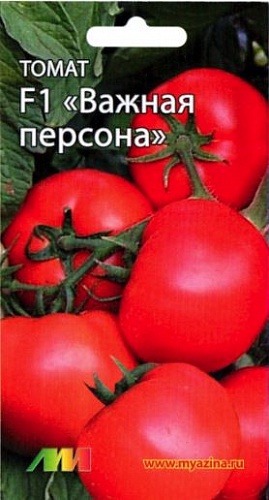 Томат (Помидор) обыкновенный Важная персона