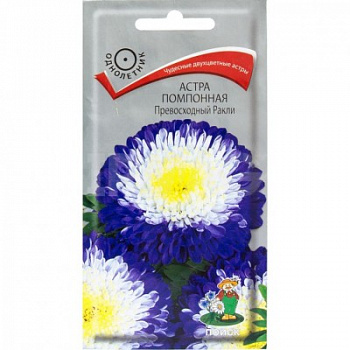 Астра помпонная Превосходный Ракли