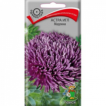 Астра Игл Мадонна