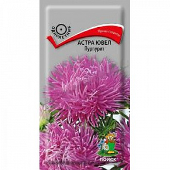 Астра Ювел Пурпурит