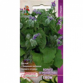 Бораго (Огуречная трава)Гном