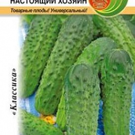 Огурец  Настоящий Хозяин