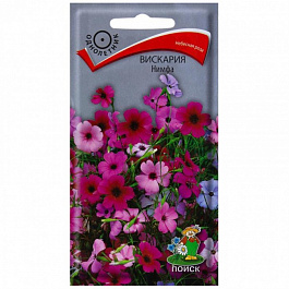 Вискария Нимфа