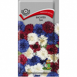 Василёк Трио