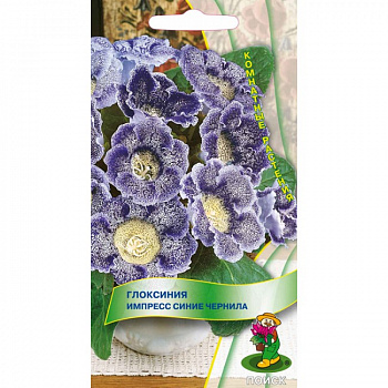 Глоксиния Импресс Синие чернила