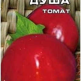 Томат (Помидор) обыкновенный Русская Душа