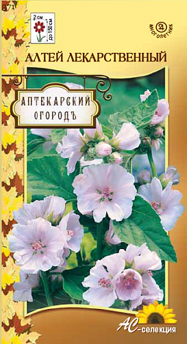 Алтей Лекарственный
