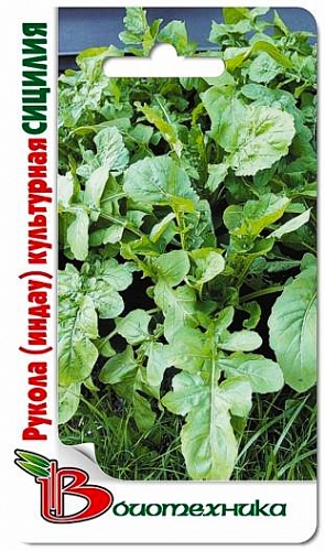Рукола (Индау) культурная Сицилия