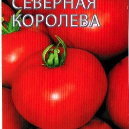 Томат (Помидор) обыкновенный Северная королева