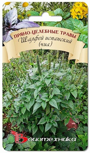 Шалфей Испанский