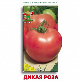 Томат Дикая роза