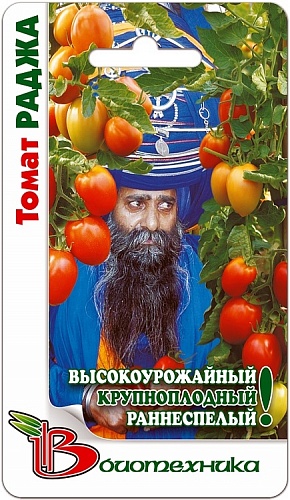 Томат (Помидор) обыкновенный Раджа
