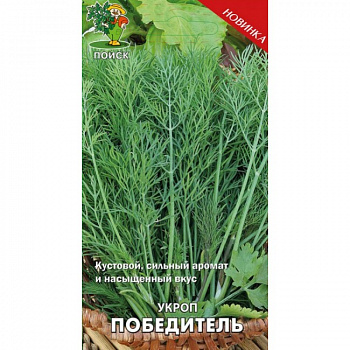 Укроп Победитель