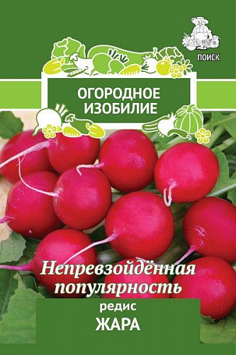 Редис Жара