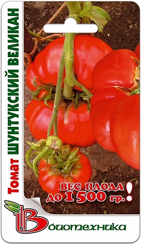 Томат (Помидор) обыкновенный Шунтукский великан