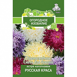 Астра коготковая Русская краса
